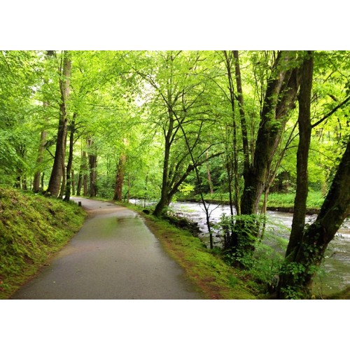 C15130 Chocorua Trail Gore-tex