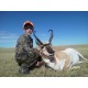 Chaleco de Caza juvenil Young Forest