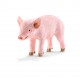 Schleich Cerdito