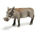 Schleich  Facocero