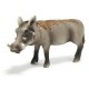 Schleich  Facocero