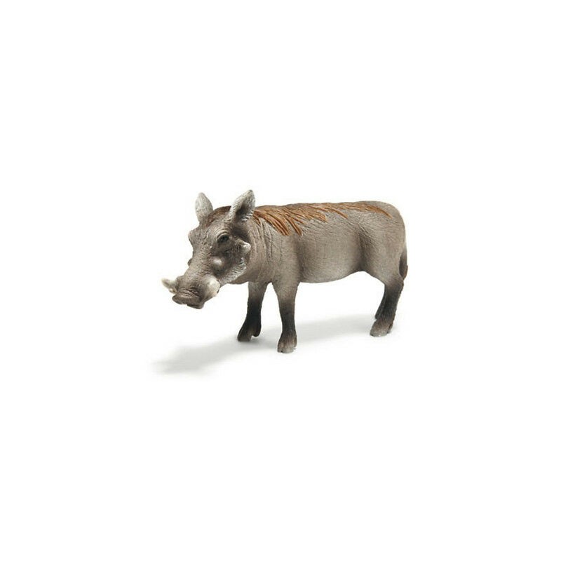 Schleich  Facocero
