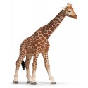 Schleich  Jirafa