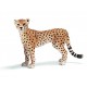 Schleich  Guepardo