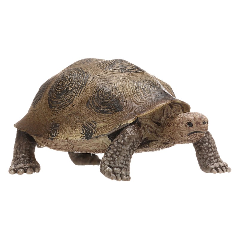 Schleich Tortuga gigante terrestre