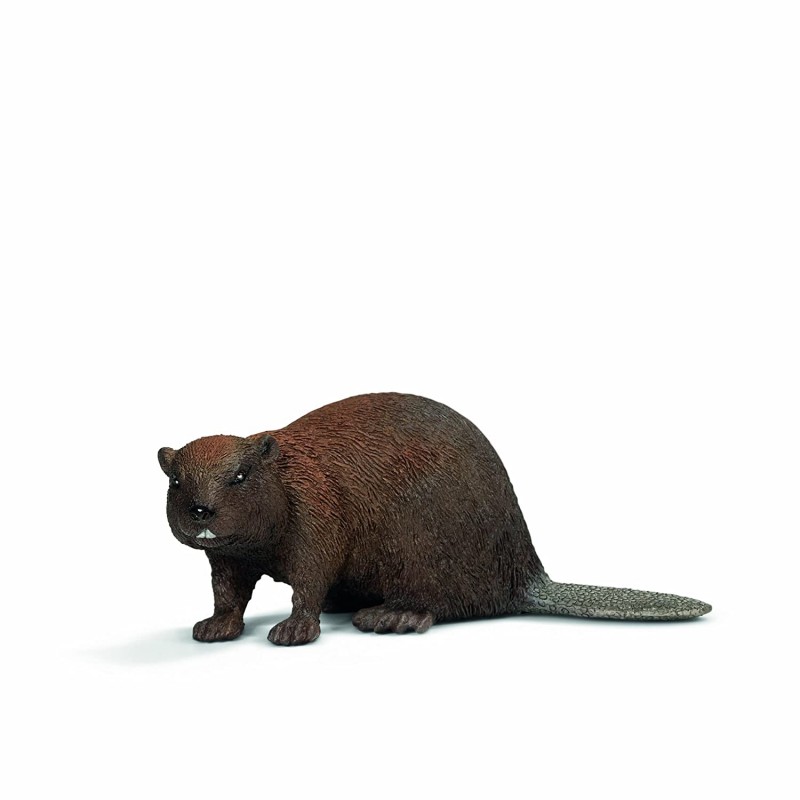 Schleich  Castor