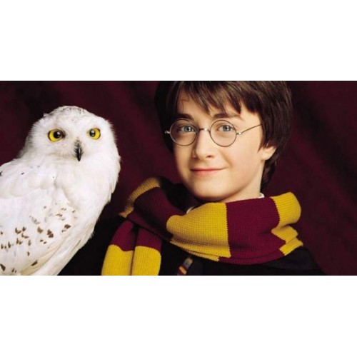 Harry Potter Hedwig la Lechuza