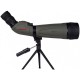Telescopio Tasco 20-60x80  45º Gray