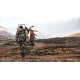 CR01 Kynoch .404 Jeffery