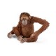 Schleich Orangután hembra