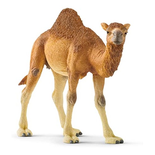 Schleich Dromedario