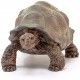 Schleich Tortuga Gigante