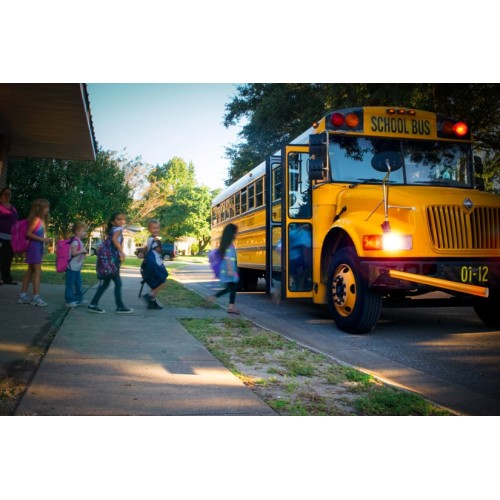 Timberland Bota de niño/a Mod. 12712/12812  (ref-3)