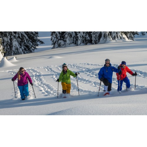 TSL Polainas Hiking Grey talla M