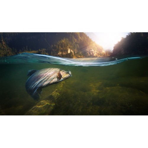 Kali Bota de Pesca KKkun