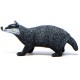 Schleich Tejón
