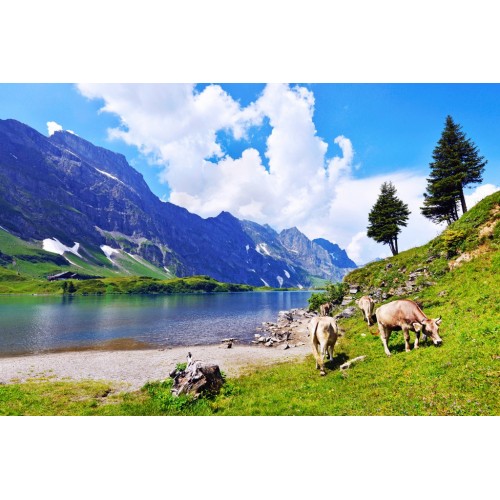 Bestard Boston Blue Gore-tex