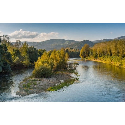 Chaqueta Gaviota 3/4 Hunting / Fishing Classic