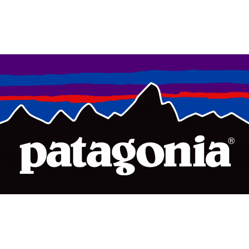 Patagonia Gorra Fitz Roy Black Trucker