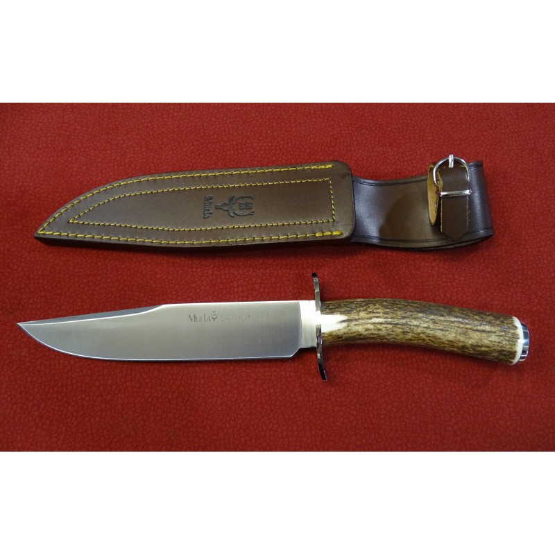 Muela Cuchillo Sarrio