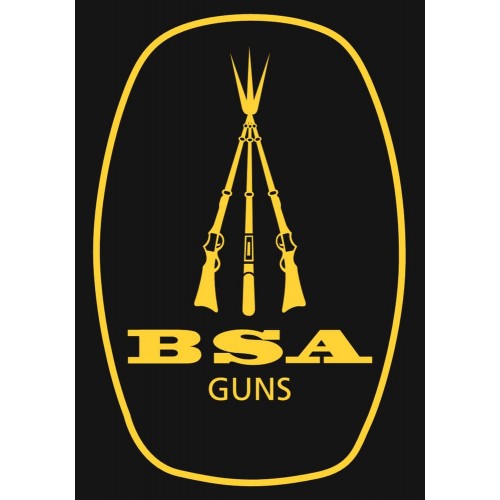 BSA Anillas 1" Altura mediana para carril 11mm