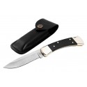 Buck Knive 110 Folding Hunter