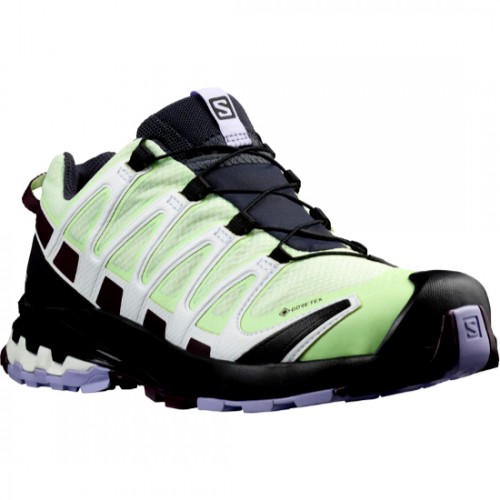 Salomon XA Pro 3D Gore-tex Patina Green