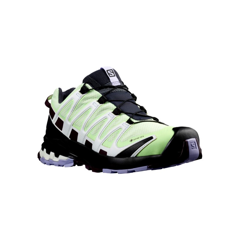 Salomon XA Pro 3D Gore-tex Patina Green