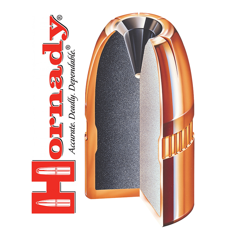 Hornady Proyectil  32  .312  100gr XTP