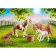 70682 Ponis con Potros