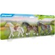 70683 Tres Caballos