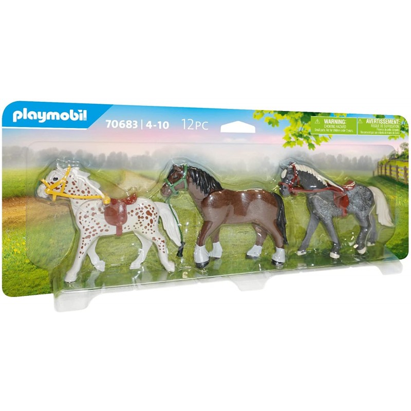 70683 Tres Caballos