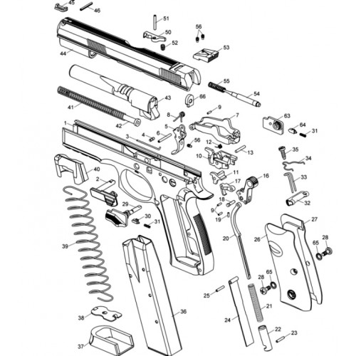 Ceska CZ 75 / Shadow 01 / Pasador del extractor Pieza nº55