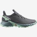 Salomon Deportivos Alphacross 4 GTX Ebony / Trellis