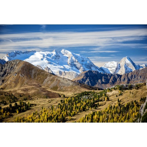 Dolomite Cinquantaquattro Low Gore-tex Sage (verde forest)