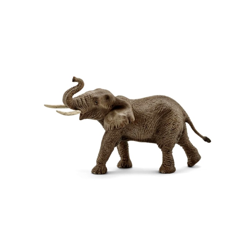 Schleich Elefante Africano Macho