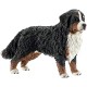 Schleich Perro Boyero de Berna hembra