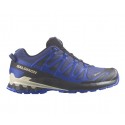 Salomon Zapatilla Impermeable Mod. XA PRO 3D V9 GTX Blue/Surf W/Lap