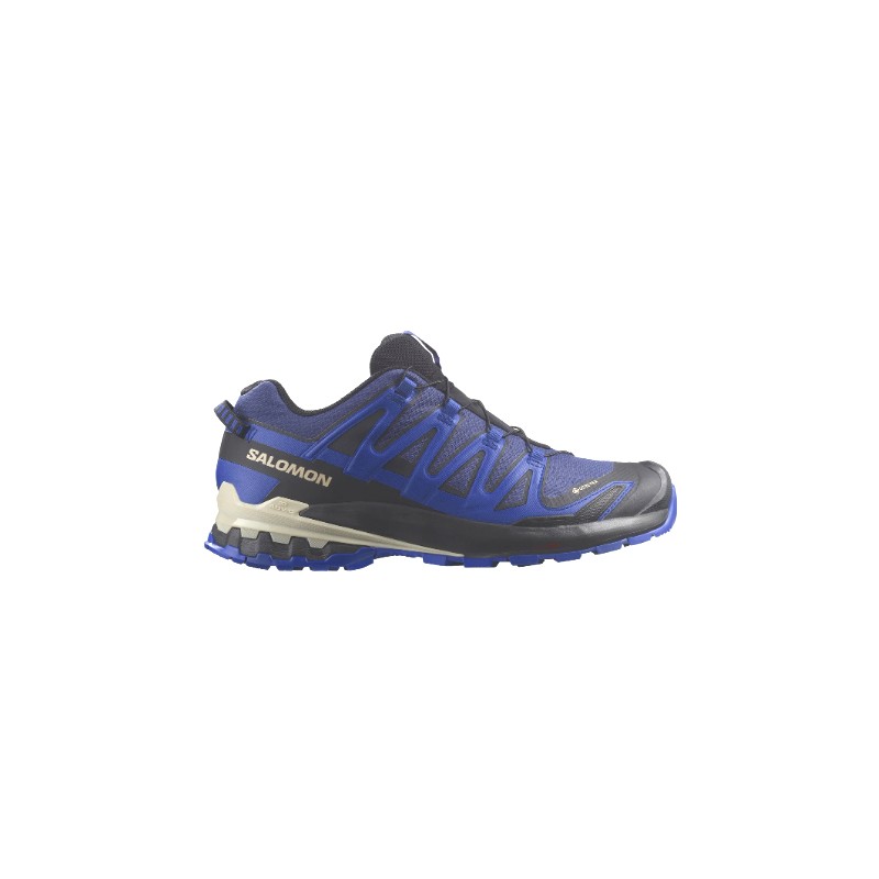 Salomon Zapatilla Impermeable Mod. XA PRO 3D V9 GTX Blue/Surf W/Lap