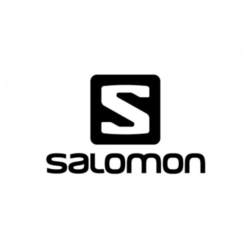 Salomon XA Pro 3D V9 Gore-Tex Flint Stone / Black