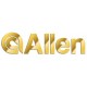 Allen Company Porta-balas DeLuxe en piel natural