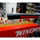 Winchester Carabina Expert Strata Calibre 22lr THR