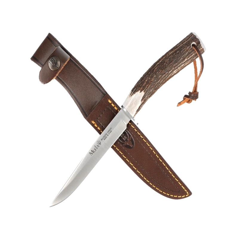 Muela Cuchillo Gred-14