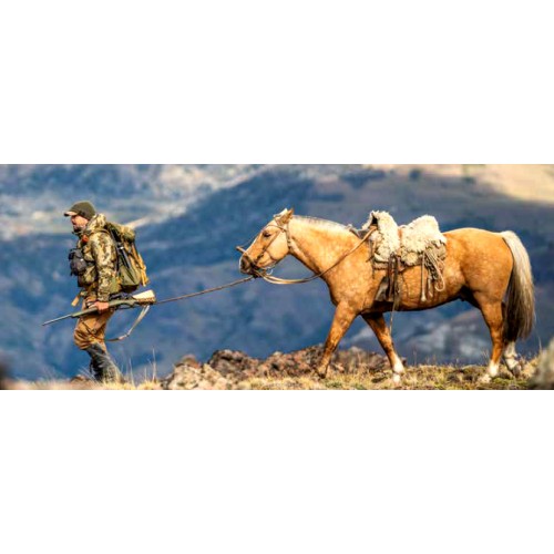 Bergara Rifle B14 Hunter Calibre 270Win