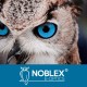 Noblex NF 8x42