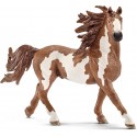 Schleich Oso Hormiguero