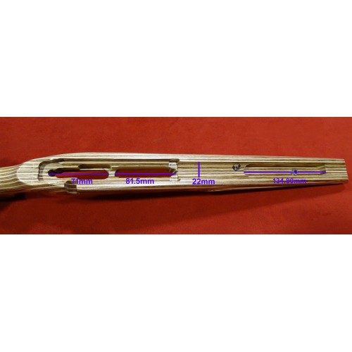 Boyds Culata Agility CZ 455