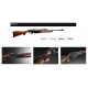 Benelli Rifle Argo E