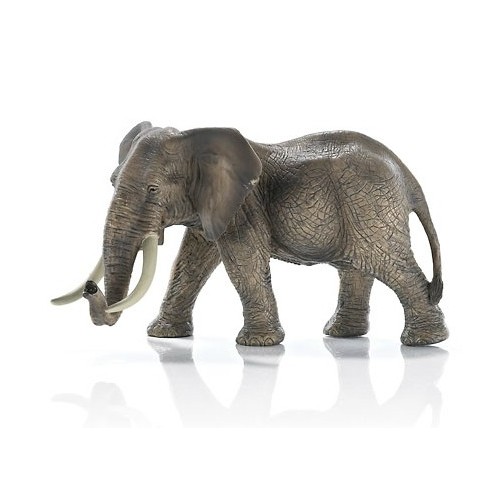 Elefante Macho