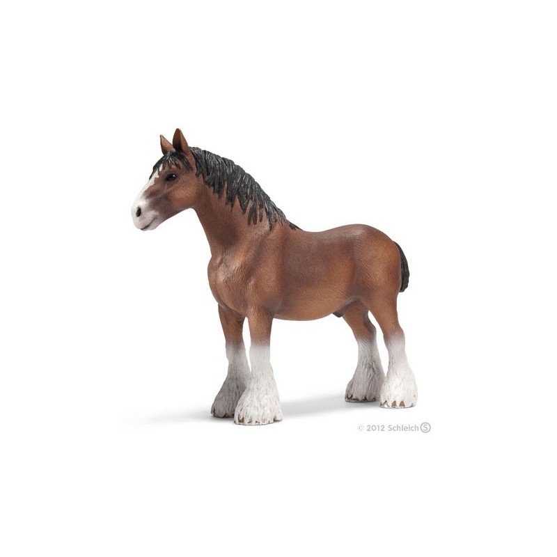 Semental Clydesdale